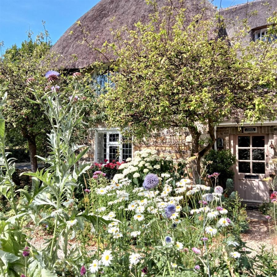 Tudor Cottage B&B Frampton Dorchester Exterior photo