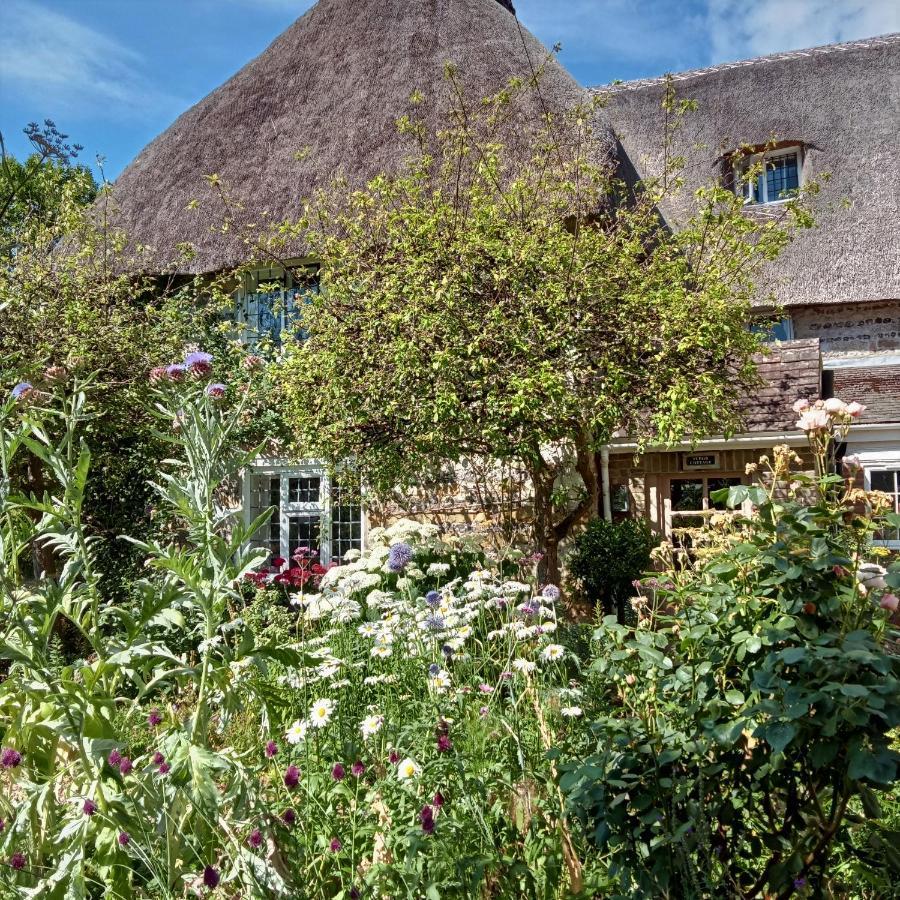 Tudor Cottage B&B Frampton Exterior photo