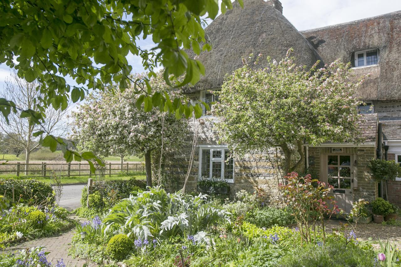 Tudor Cottage B&B Frampton Exterior photo